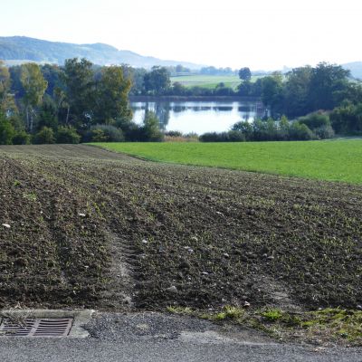 019 Der Nussbaumersee